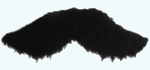 Movember