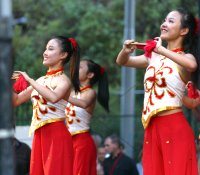 Chinese New Year Photo