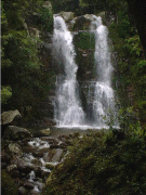 minnamurra01.gif